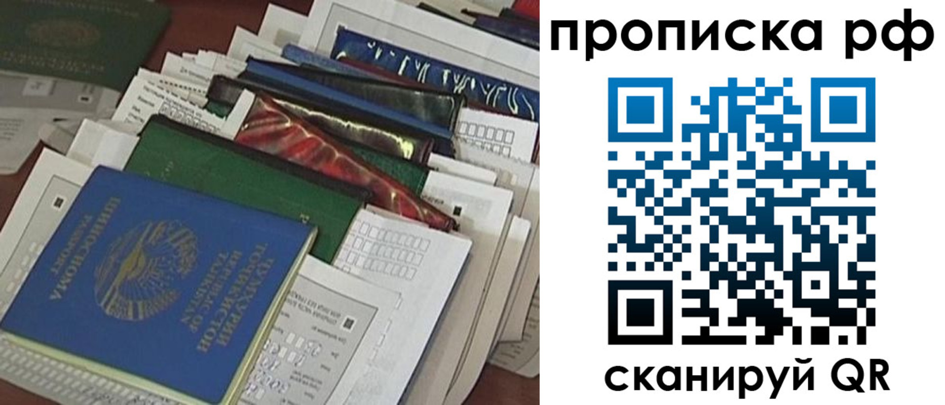 прописка в Венёве